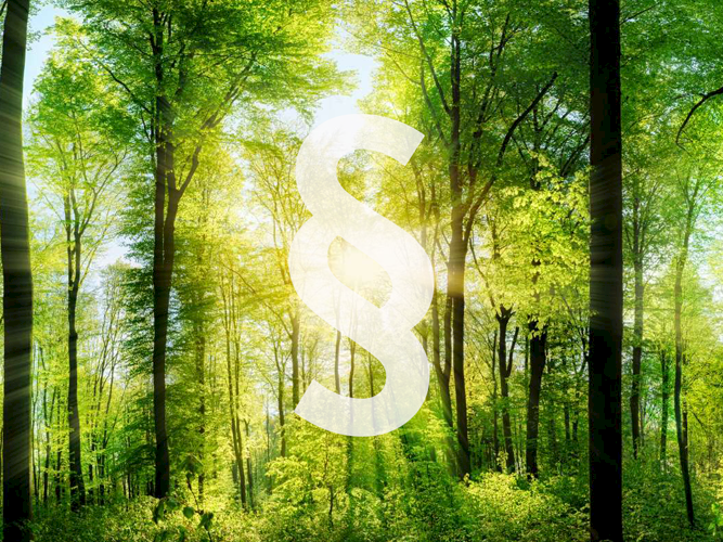 Förderungen & Steuervorteile